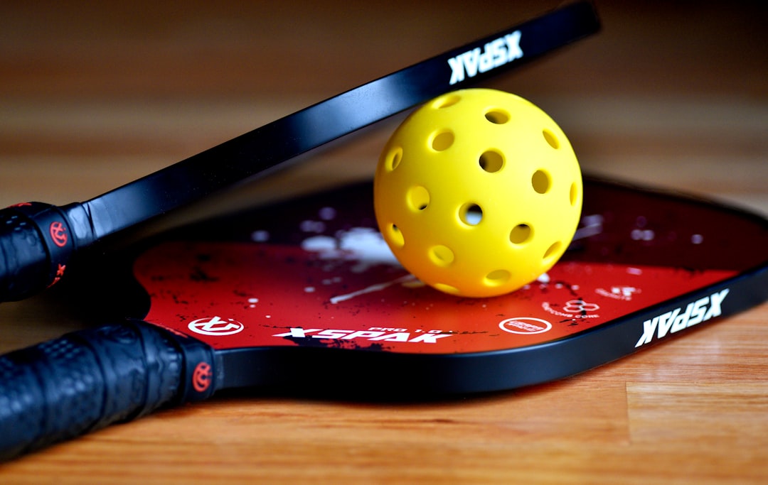 Best Pickleball Paddles Under $100 (2026)