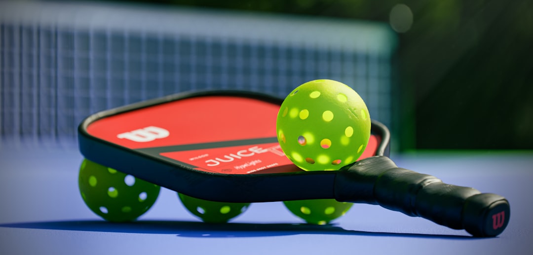 Best Pickleball Paddles 2026 (2026)