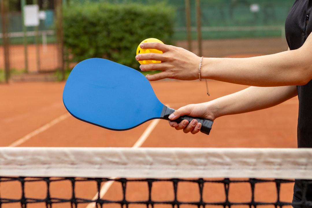 Best Pickleball Paddles For Beginners (2026)