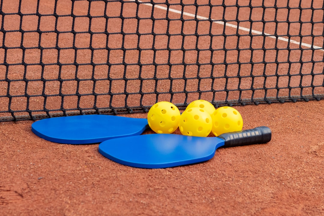 Best Pickleball Paddles of 2025: Complete Buyer