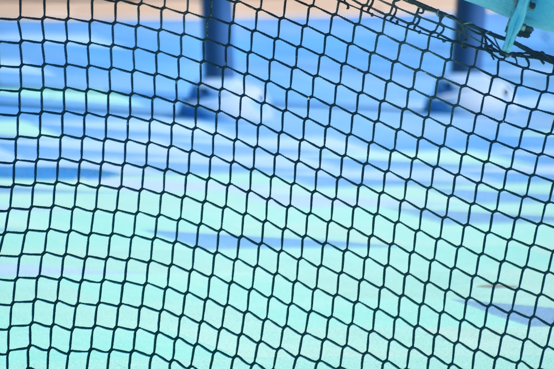 Black net in front of blue and green background